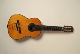 Eight-string Brahms Guitar shown horizontally.