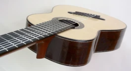 Detail of two eight-string Brahms Guitars by Martin Woodhouse.