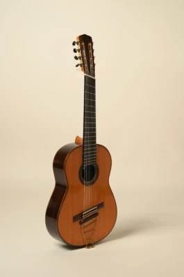 Eight-string Brahms Guitar standing upright against a light background.